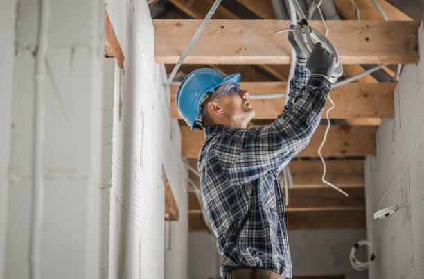 Best Electrical Upgrades for Homes  in Zionsville, IN