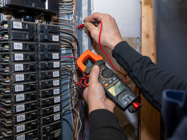 Best Electric Panel Repair  in Zionsville, IN